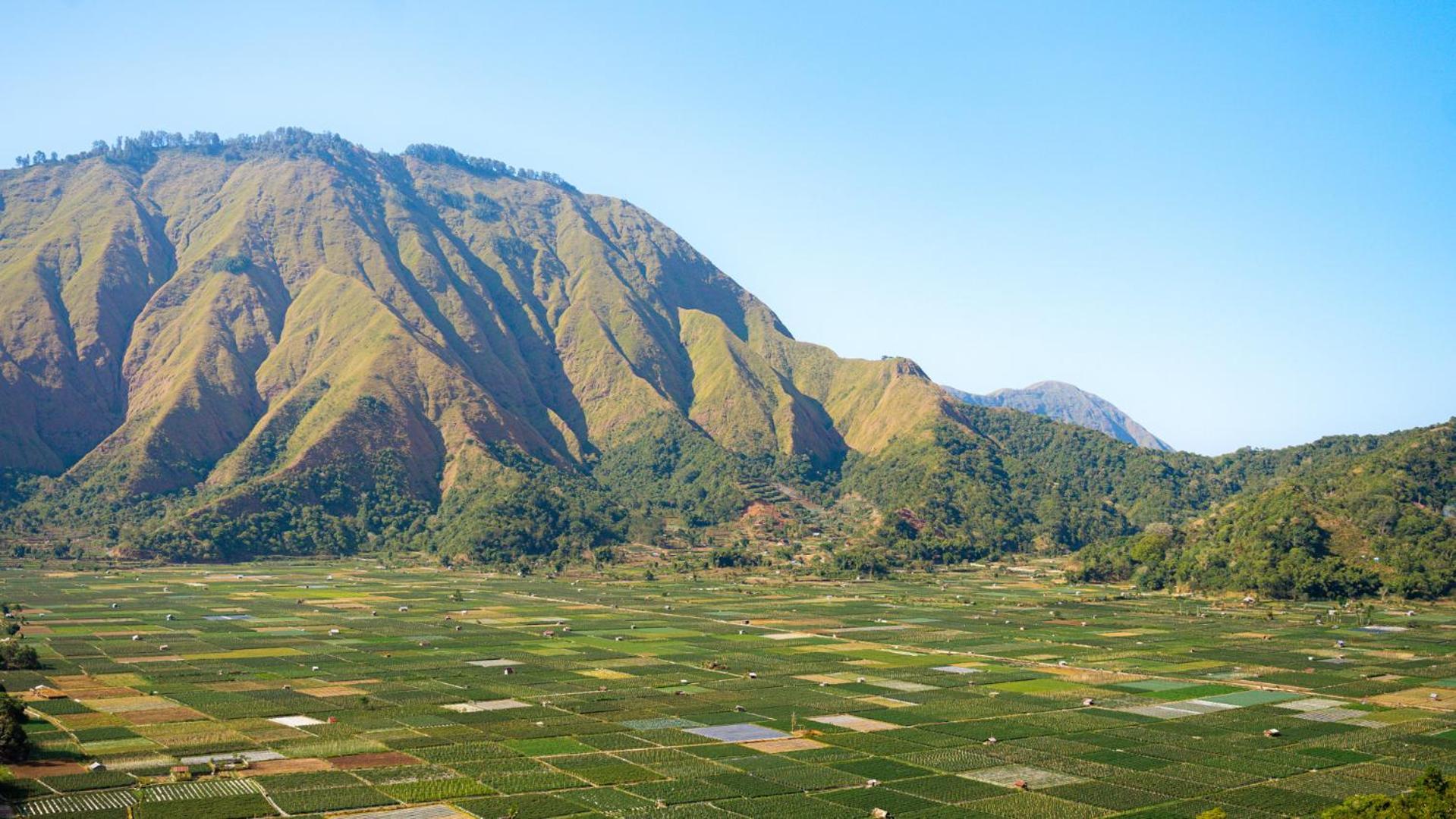 Bobocabin Gunung Rinjani, Lombok Sembalunlawang Eksteriør bilde